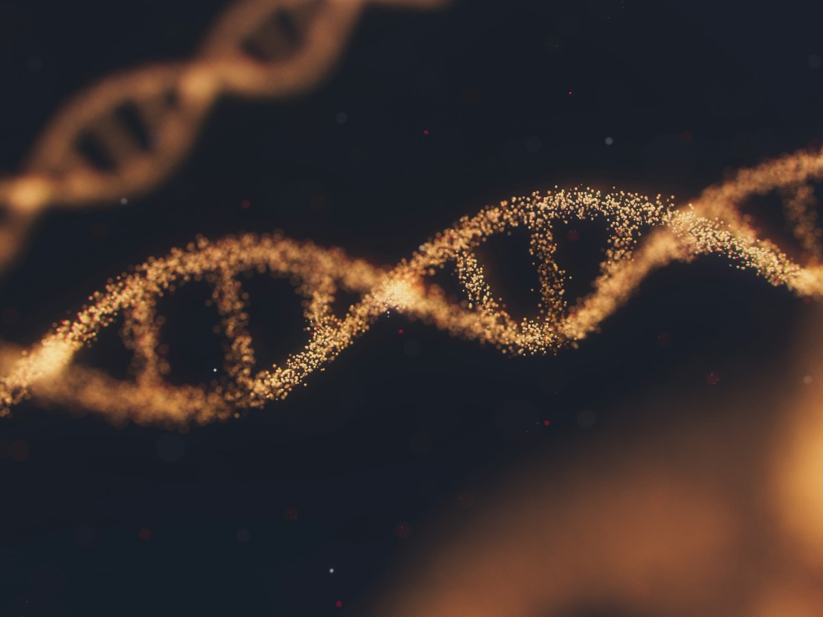 I Descend from Everyone Who Lived 700 Years&nbsp;Ago